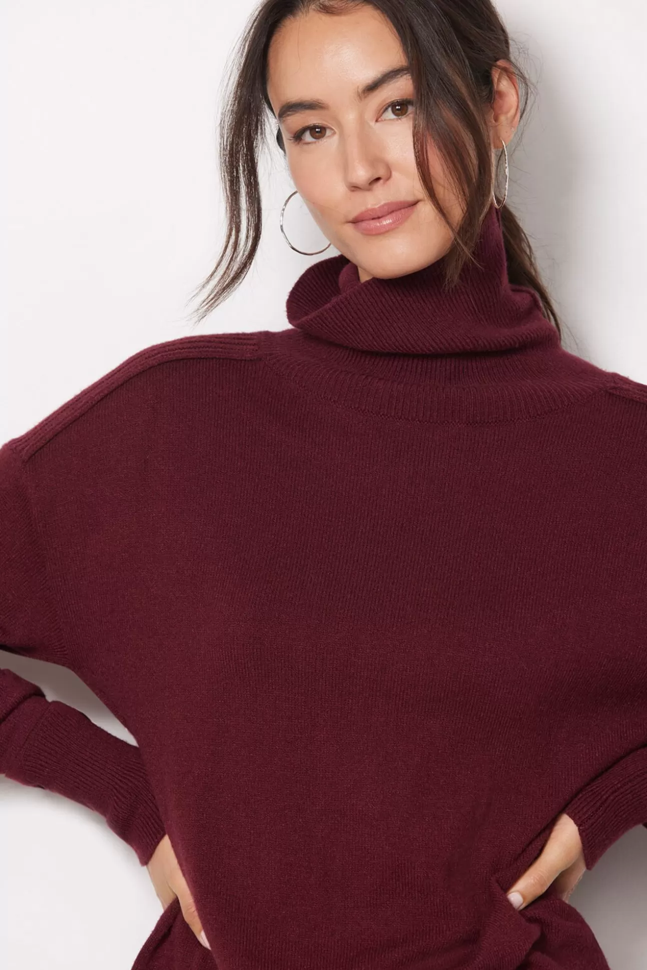 Carlie Turtleneck Pullover^EVEREVE Flash Sale