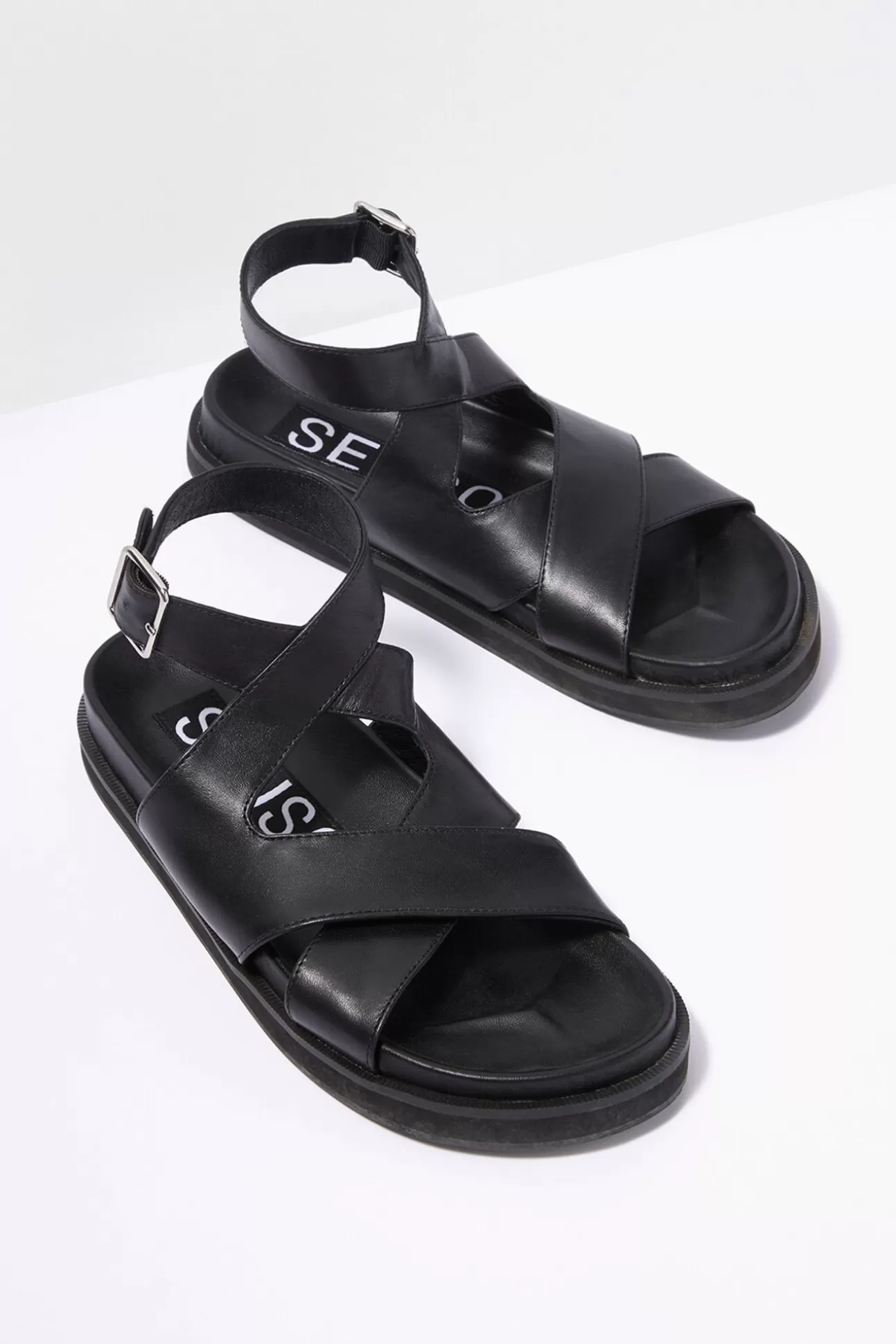 Noah Sandal^SENSO New