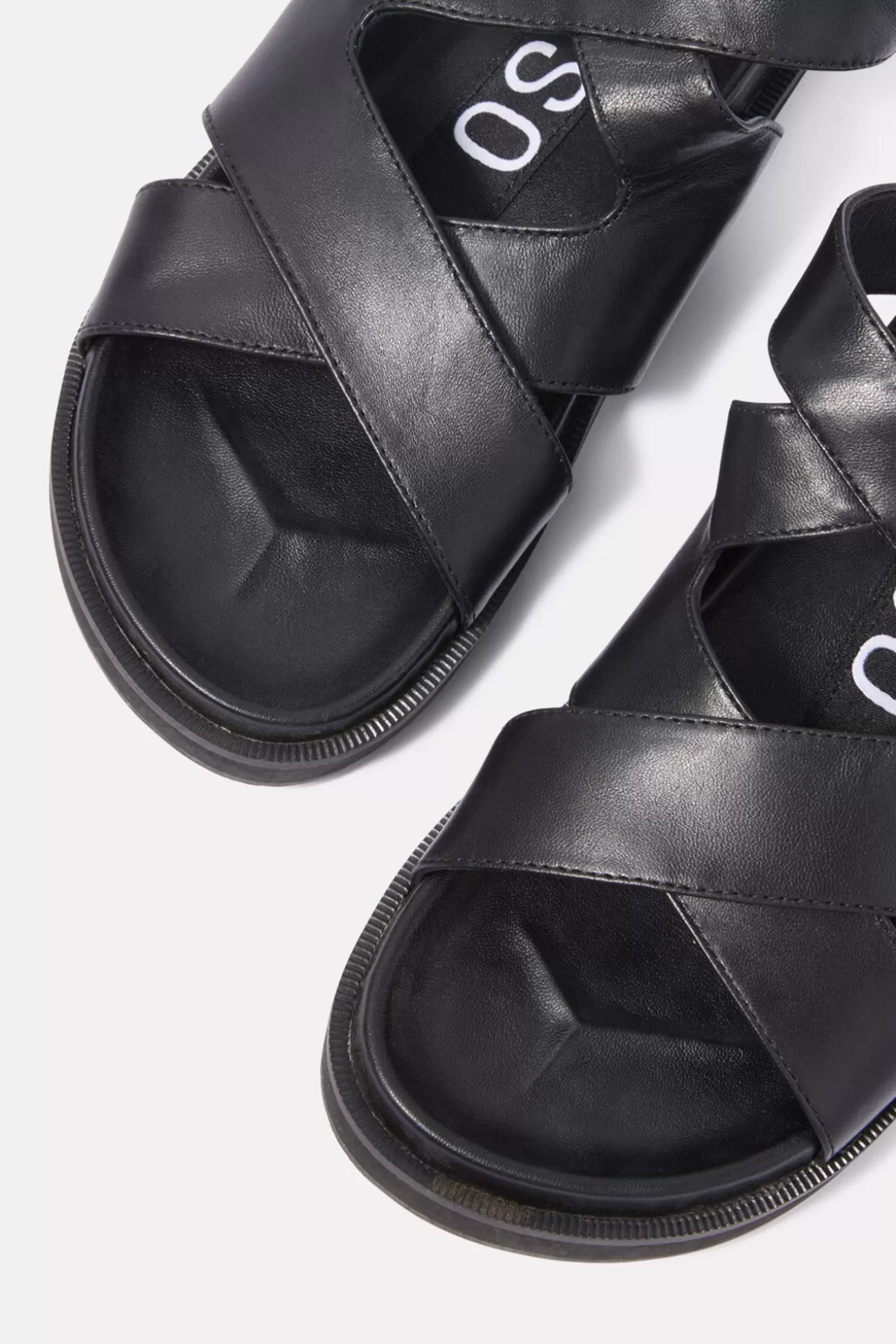 Noah Sandal^SENSO New