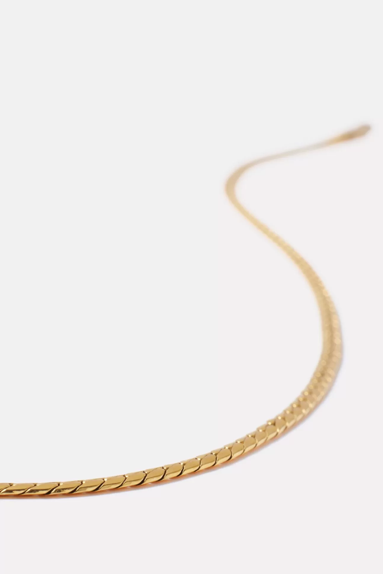 Priya Necklace^JENNY BIRD Cheap